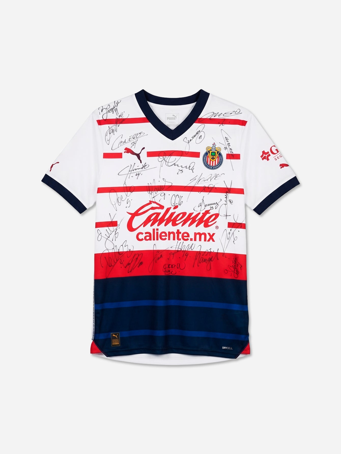 Jersey Firmado Chivas Visitante 2023-2024 | "El Piojo" Alvarado - Talla M