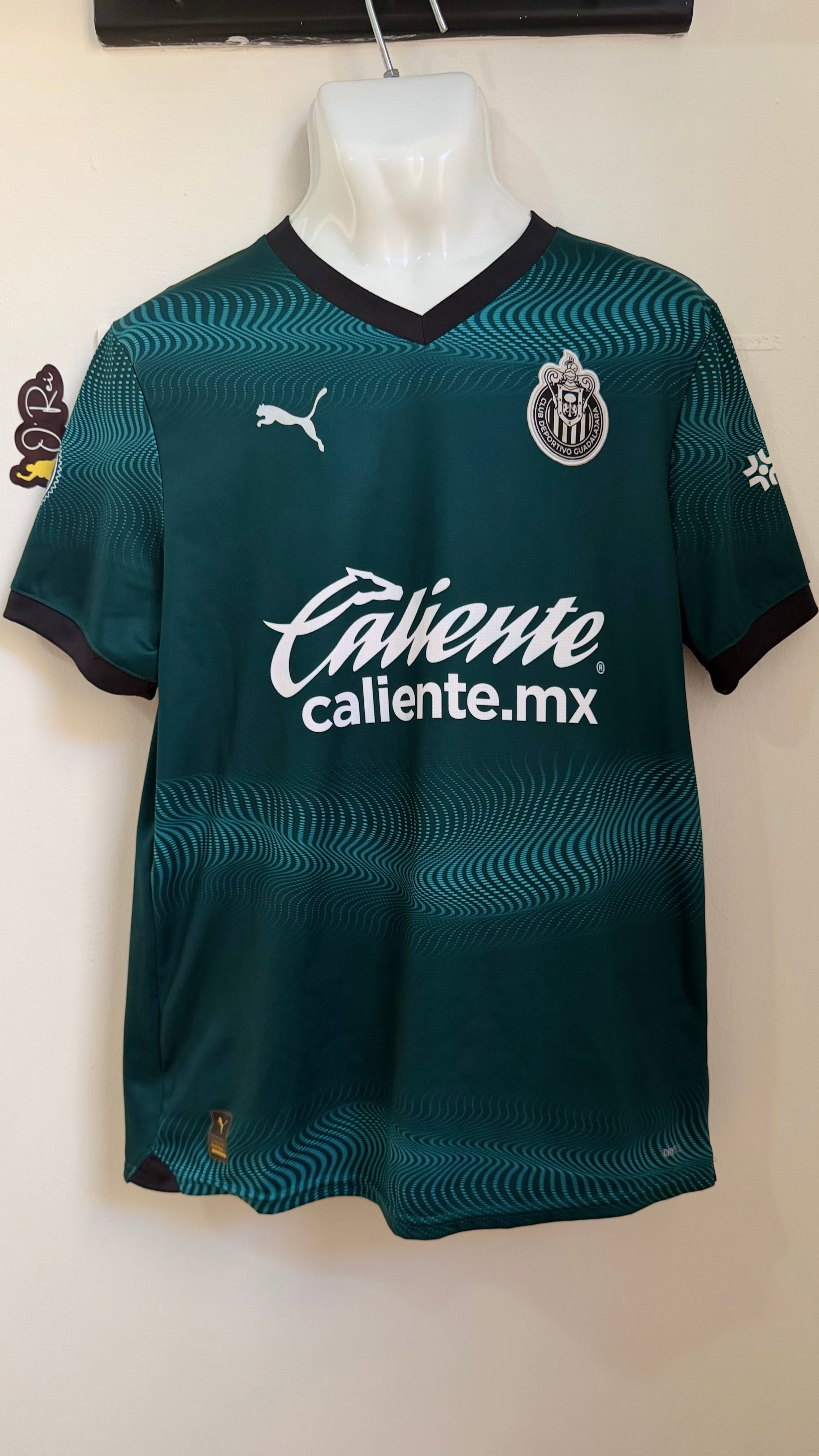 Jersey Puma Alternativa Chivas , Verde Temporada 23/24