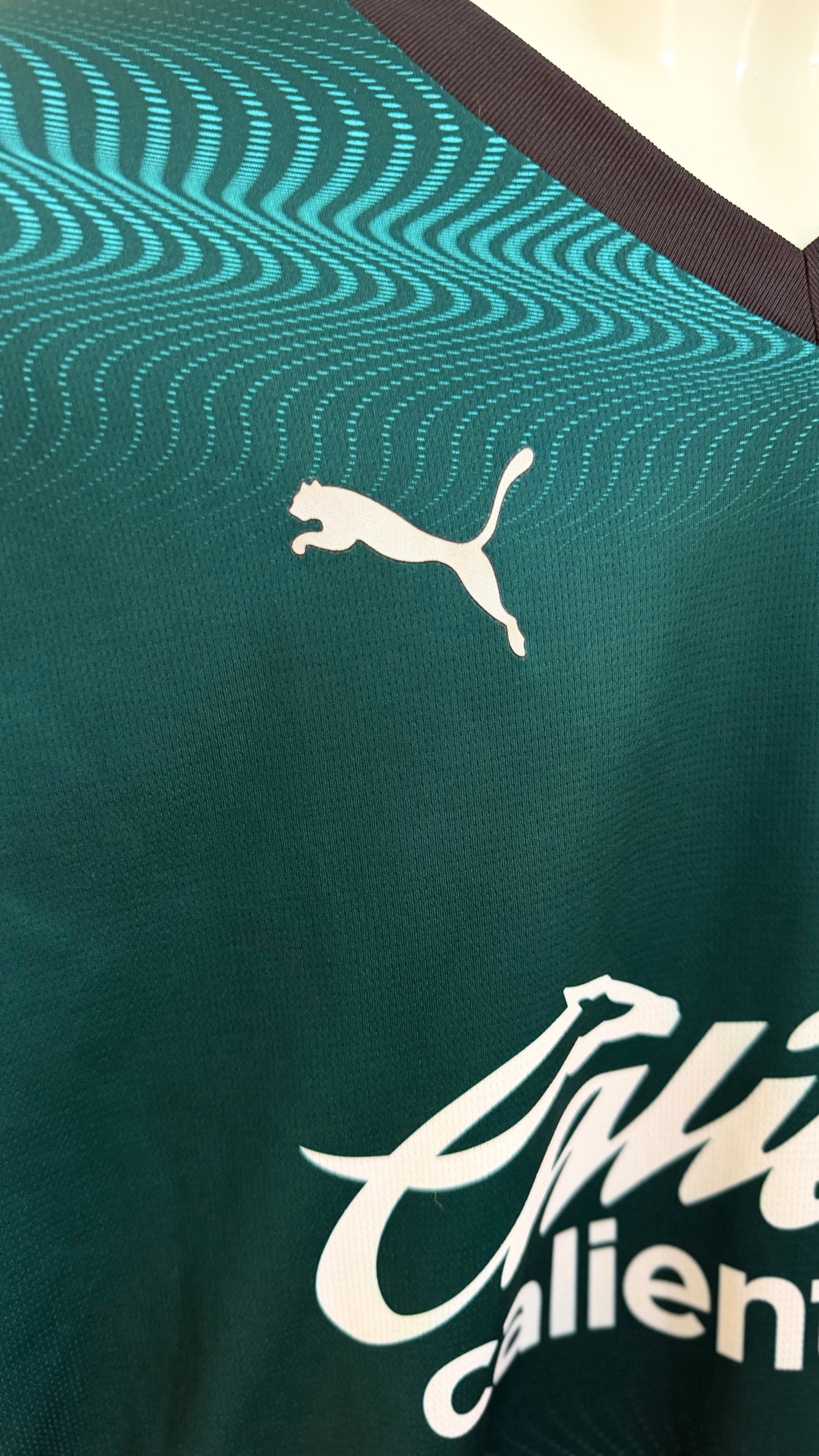 Jersey Puma Alternativa Chivas , Verde Temporada 23/24